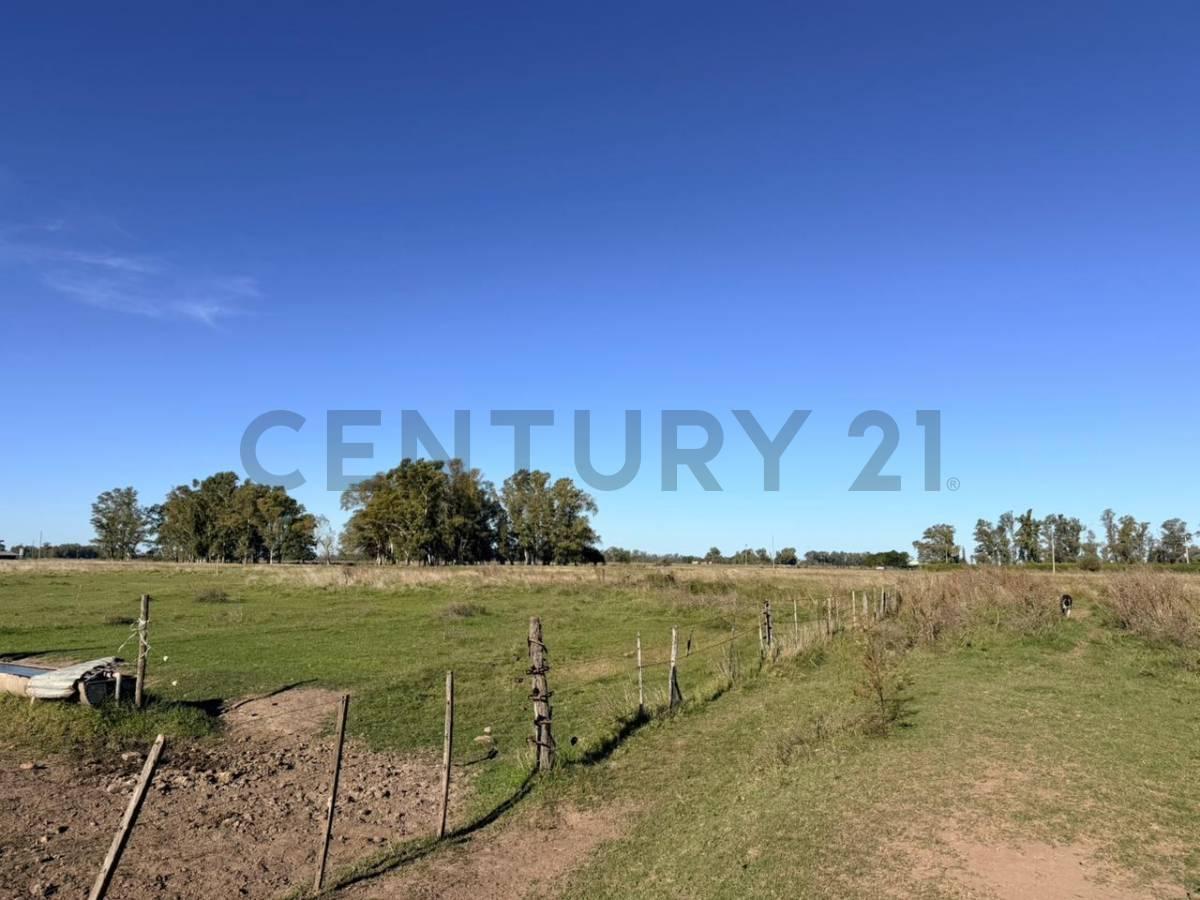 Foto de CAMPO VENTA 37 HECTAREAS GENERAL LAS HERAS, imagen 5