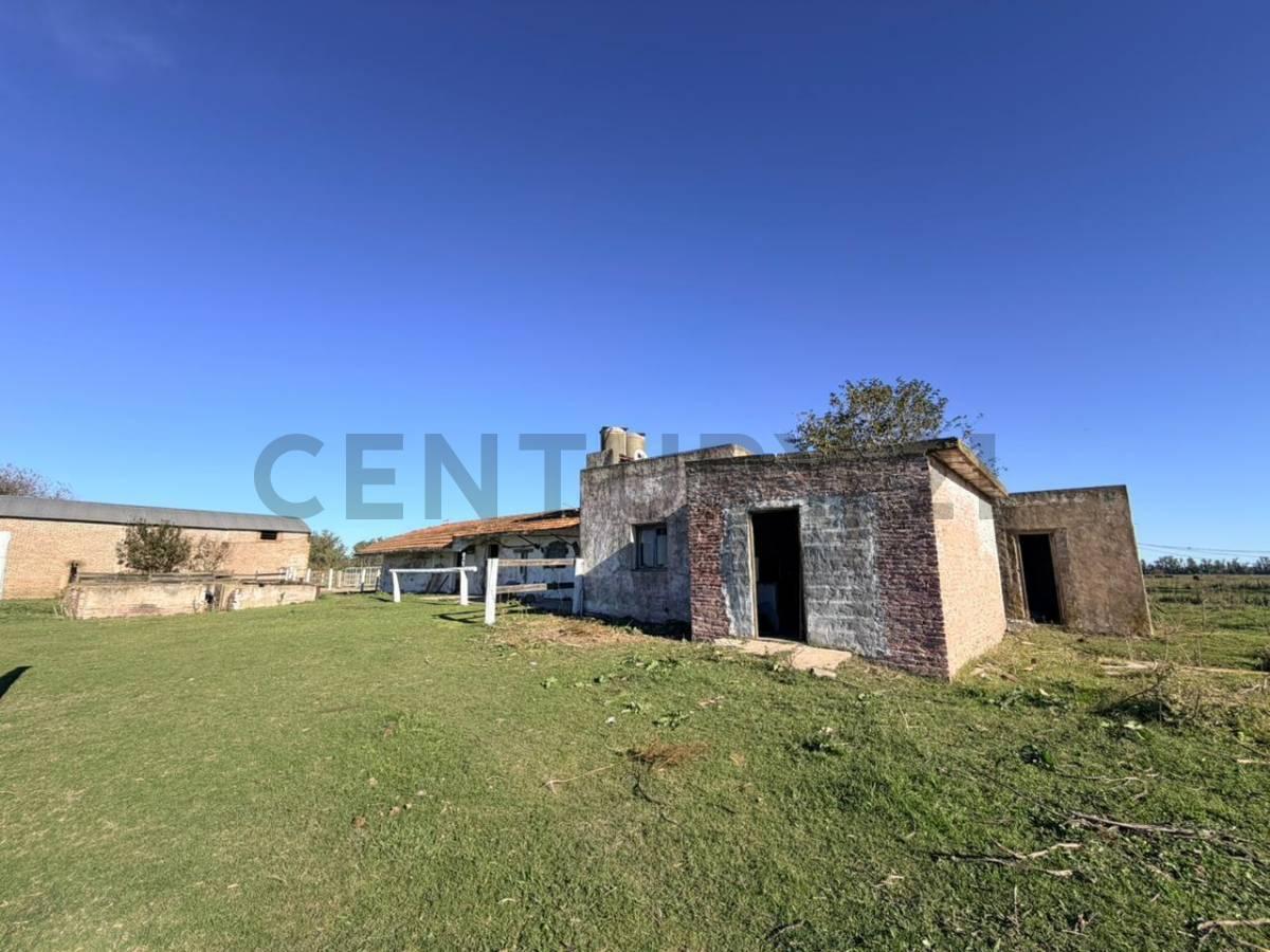 Foto de CAMPO VENTA 37 HECTAREAS GENERAL LAS HERAS, imagen 4