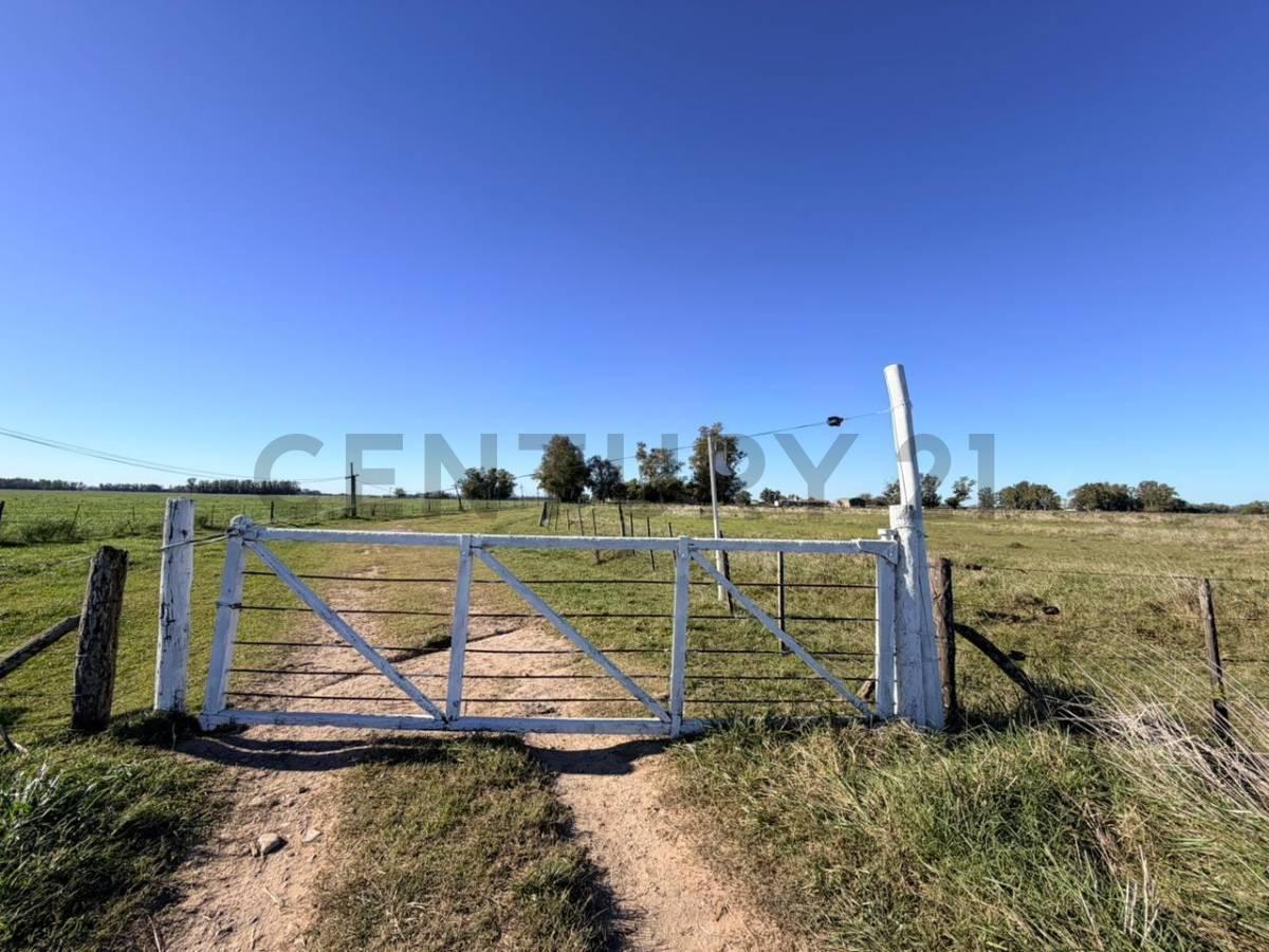 Foto de CAMPO VENTA 37 HECTAREAS GENERAL LAS HERAS, imagen 3