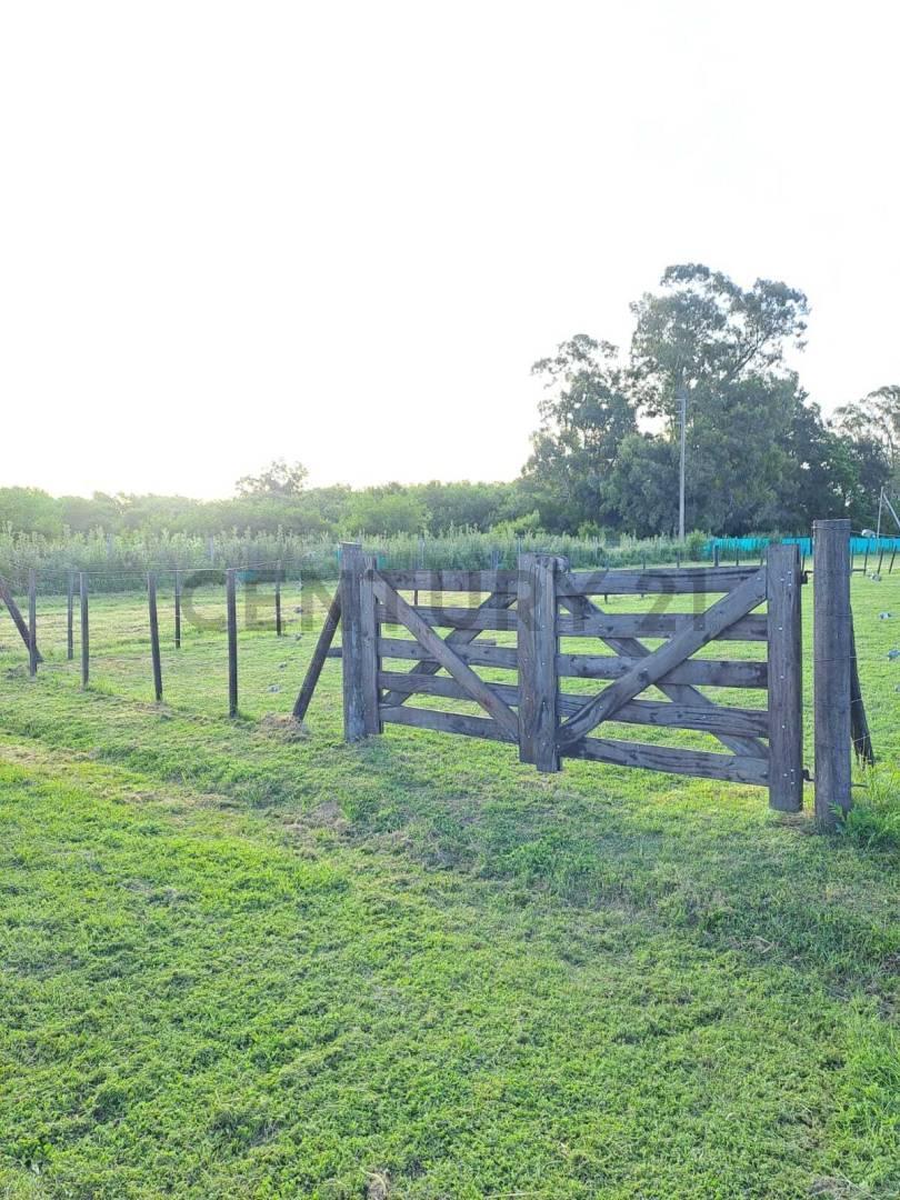 Foto de VENTA LOTE 400m2 - CLUB DE CAMPO SAN EDUARDO, imagen 1