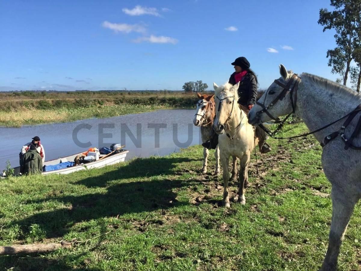 Foto de Venta de Campo, Isla en Baradero San Pedro, 6.800 Hectáreas, imagen 3