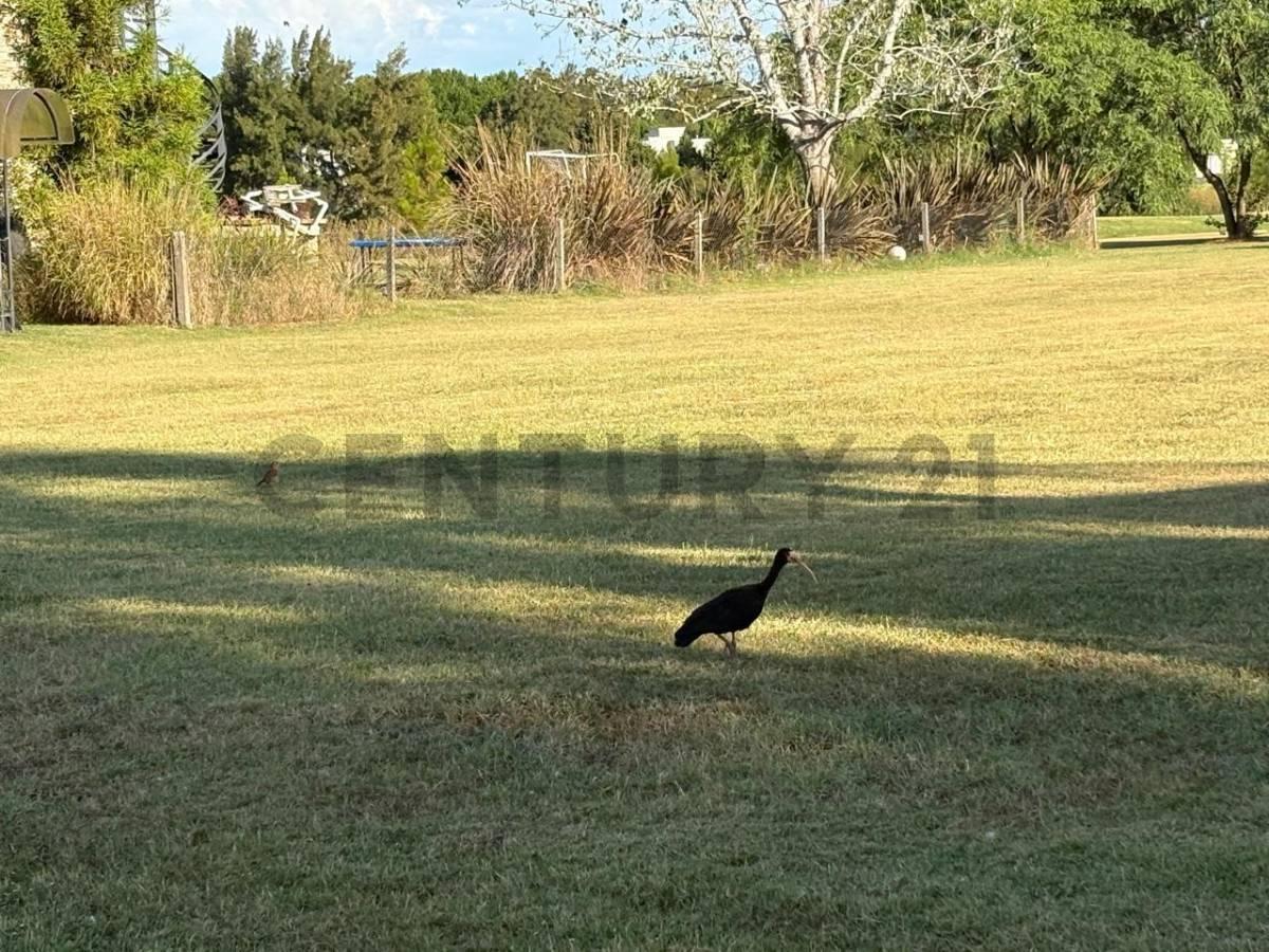 Foto de VENTA DE LOTE EN "EL NACIONAL CLUB DE CAMPO" 1191 M2, imagen 3