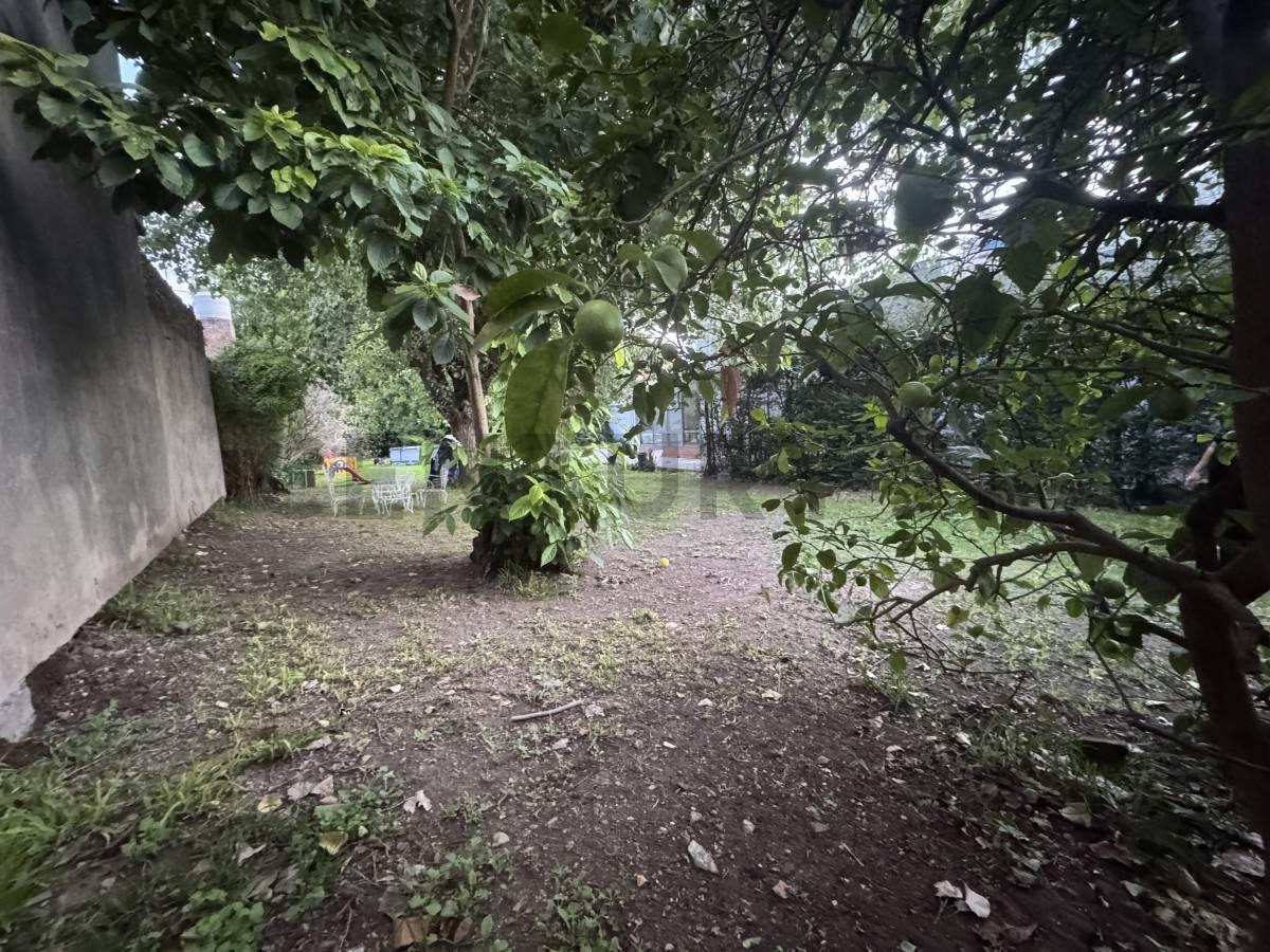 Foto de LOTE EN VENTA EN MARTIN CORONADO, imagen 3
