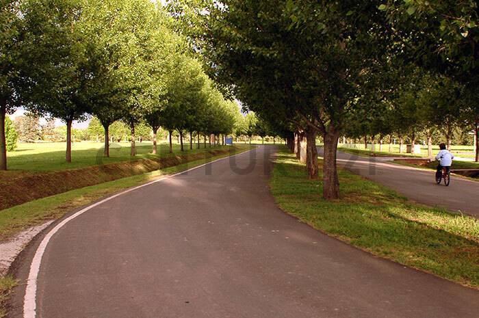 Foto de VENTA LOTE EL NACIONAL 1300M2, imagen 4
