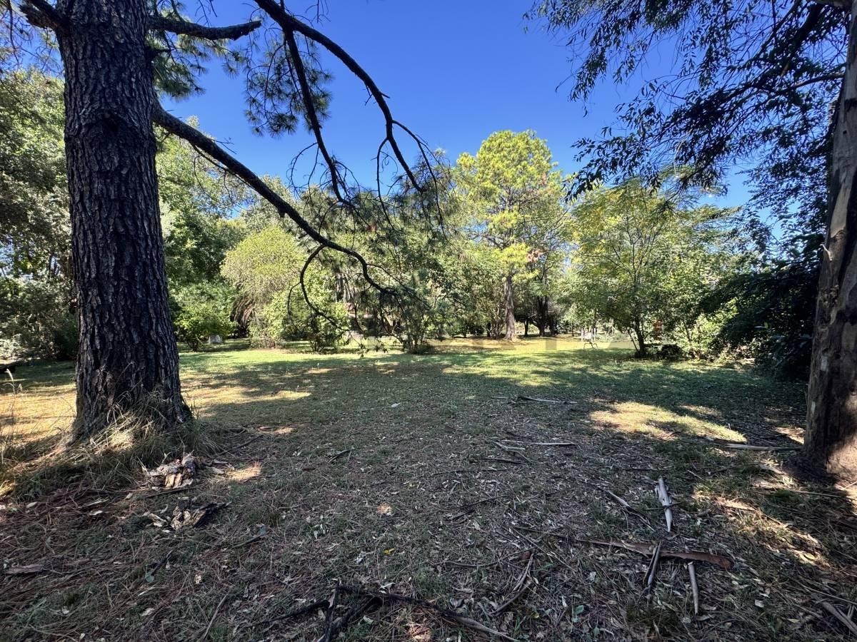 Foto de VENTA LOTE 1510 M2 FRANCISCO ALVAREZ FACIL ACCESO, imagen 2
