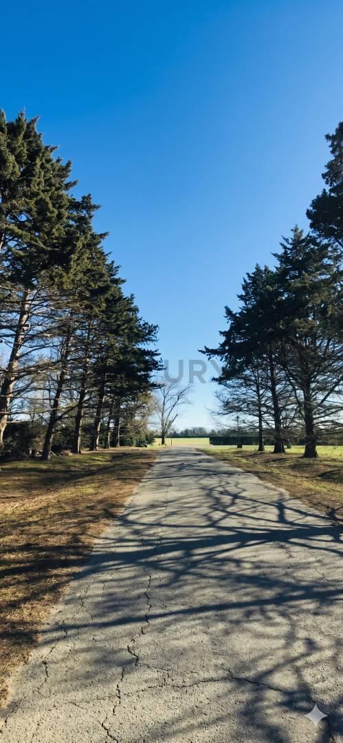 Foto de VENTA LOTE LA CAÑADA POLO CLUB 3.950 M², imagen 5