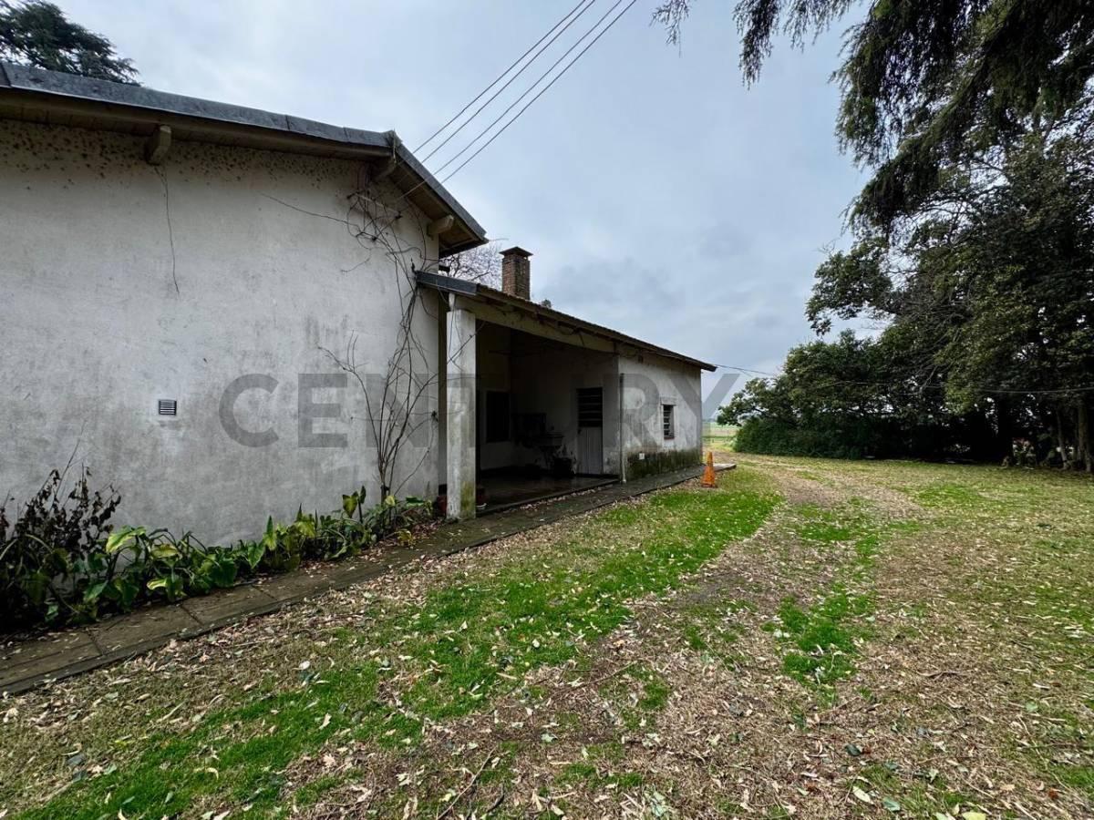 Foto de VENTA CAMPO MIXTO 53 HECTAREAS SAN ANDRES DE GILES SOBRE RUTA 41 CON, imagen 1