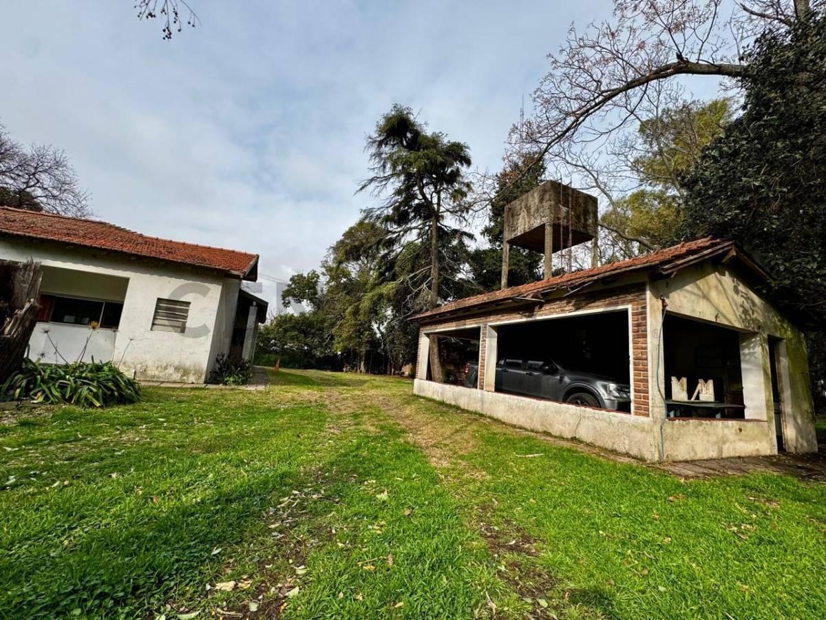 Foto de VENTA CAMPO MIXTO 53 HECTAREAS SAN ANDRES DE GILES SOBRE RUTA 41 CON, imagen 3