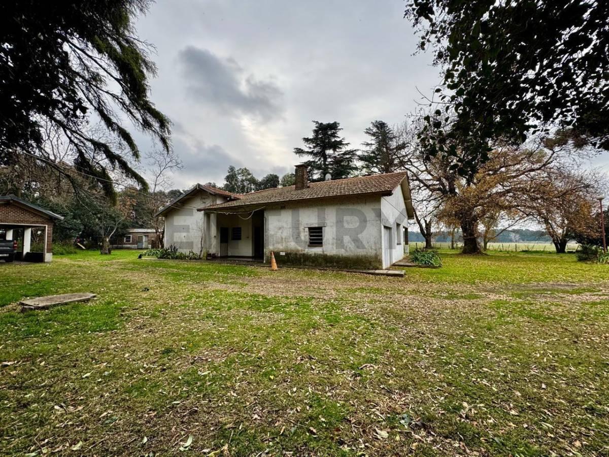 Foto de VENTA CAMPO MIXTO 53 HECTAREAS SAN ANDRES DE GILES SOBRE RUTA 41 CON, imagen 4