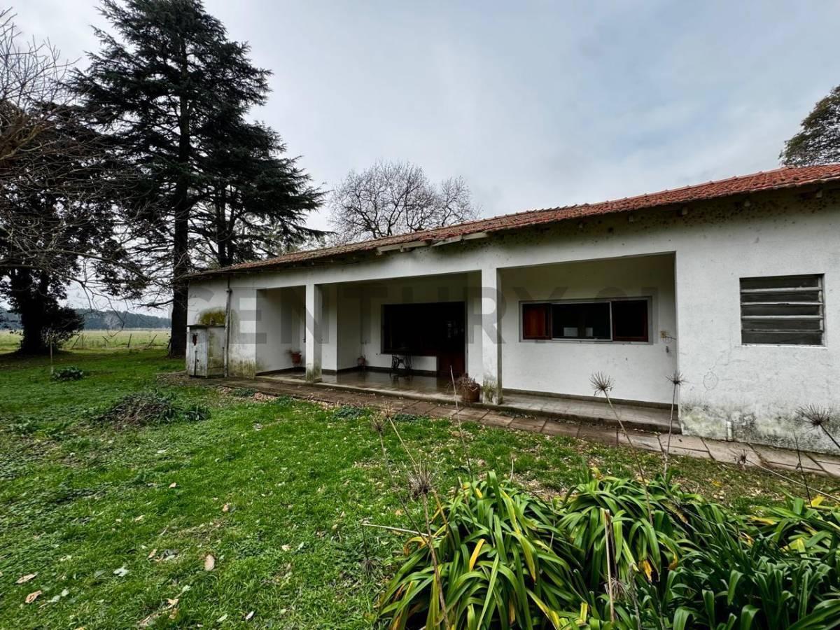 Foto de VENTA CAMPO MIXTO 53 HECTAREAS SAN ANDRES DE GILES SOBRE RUTA 41 CON, imagen 2