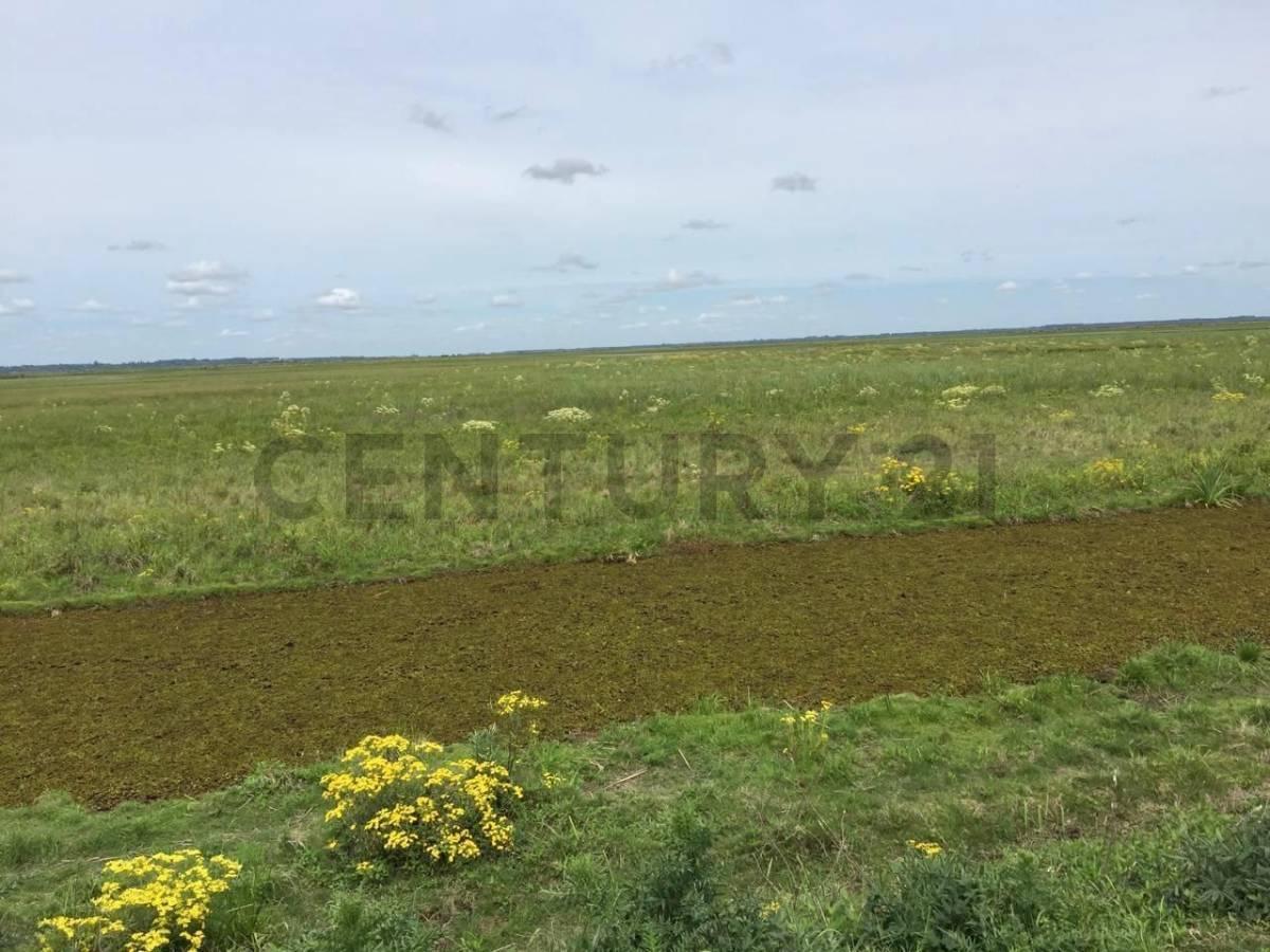 Foto de Venta de Campo, Isla en Baradero San Pedro, 6.800 Hectáreas, imagen 4