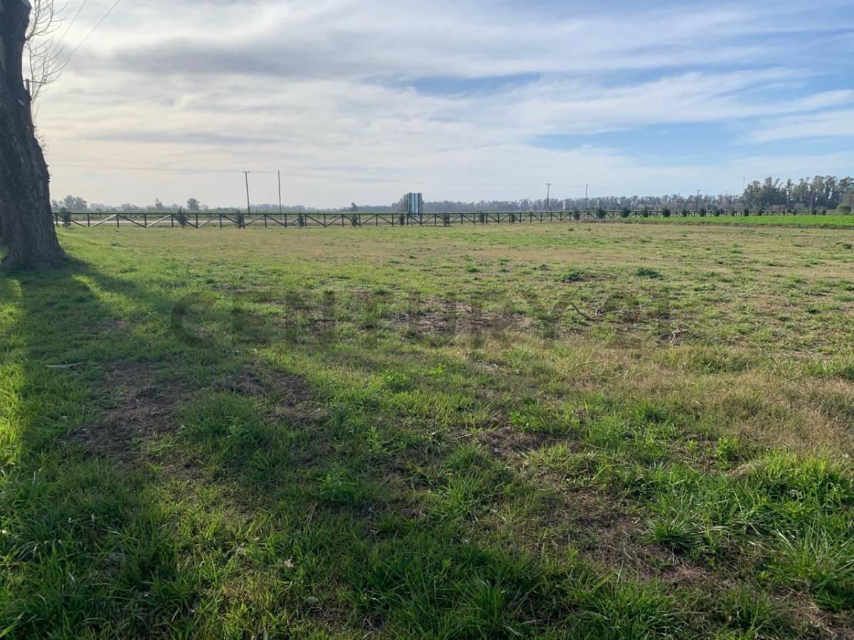 Foto de VENTA CAMPO LOTE SAN ANDRES DE GILES 3000 M2, imagen 2