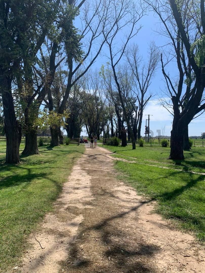 Foto de VENTA CAMPO LOTE SAN ANDRES DE GILES 3000 M2, imagen 3