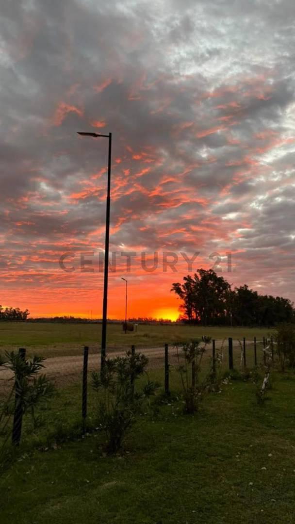 Foto de VENTA CAMPO LOTE SAN ANDRES DE GILES 3000 M2, imagen 1