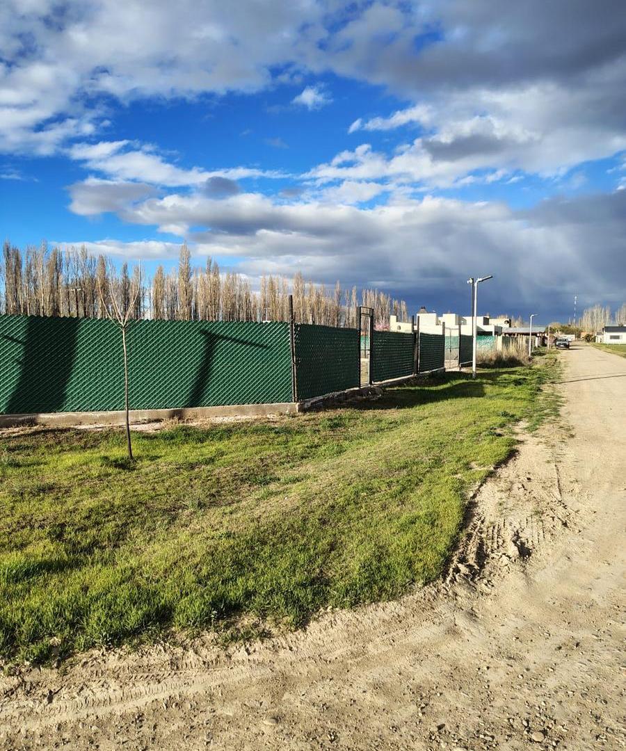 Foto de Dos Lotes Contiguos en venta, imagen 2