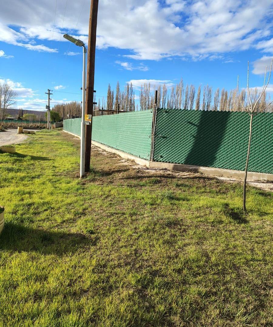 Foto de Dos Lotes Contiguos en venta, imagen 3