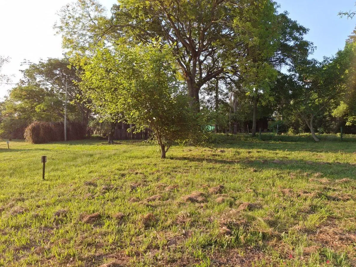 VENTA DE TERRENO EN RIACHUELO CORRIENTES 5