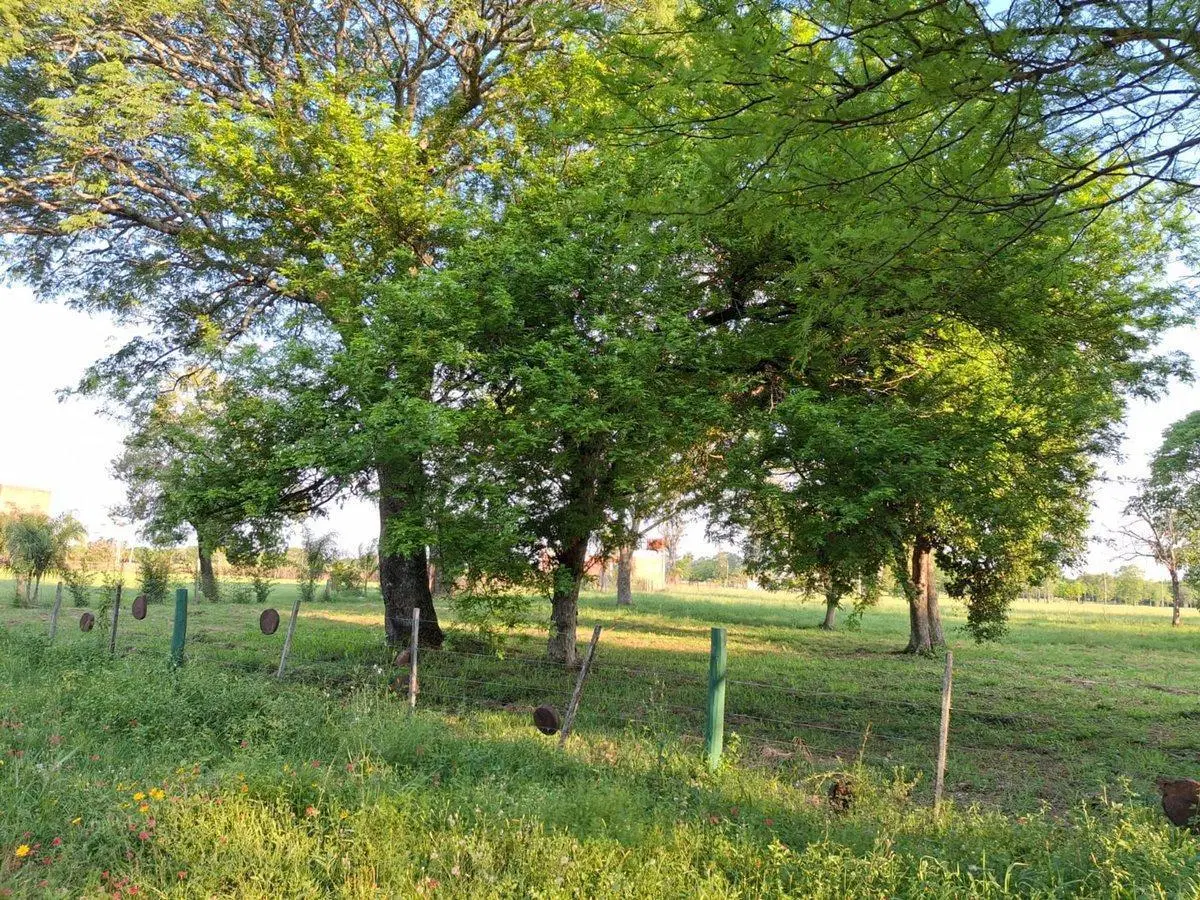 VENTA DE TERRENO EN RIACHUELO CORRIENTES 4