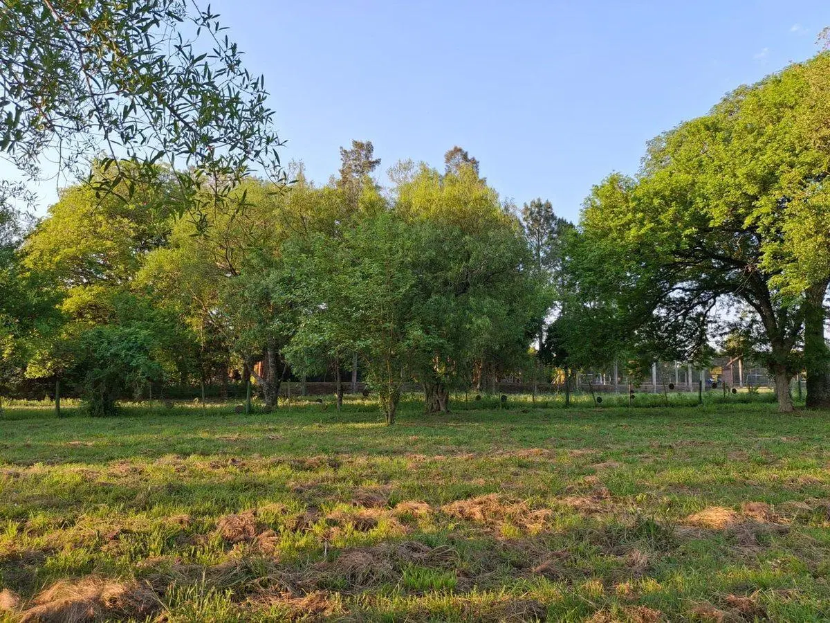 VENTA DE TERRENO EN RIACHUELO CORRIENTES 3
