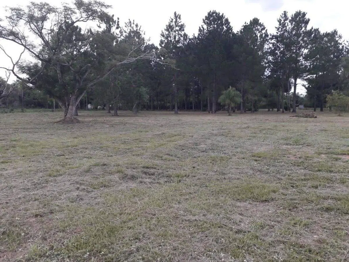 VENTA DE TERRENO EN CORRIENTES 2