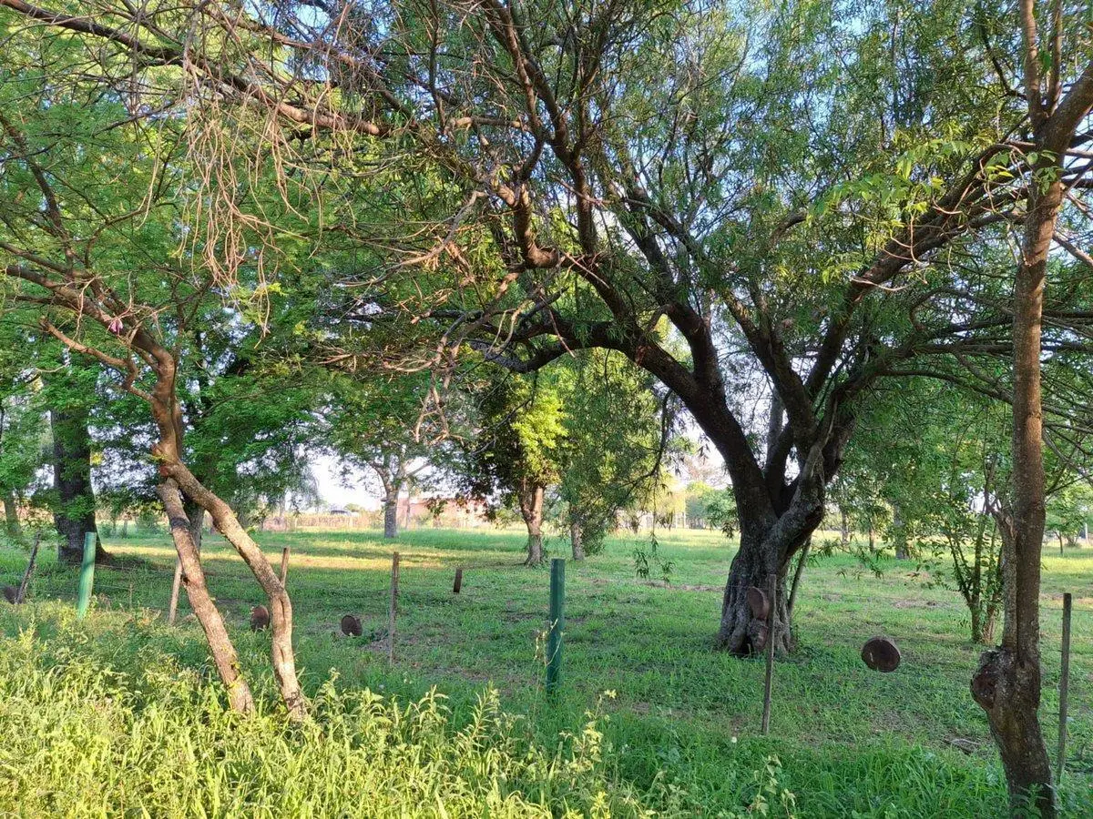 VENTA DE TERRENO EN RIACHUELO CORRIENTES 8