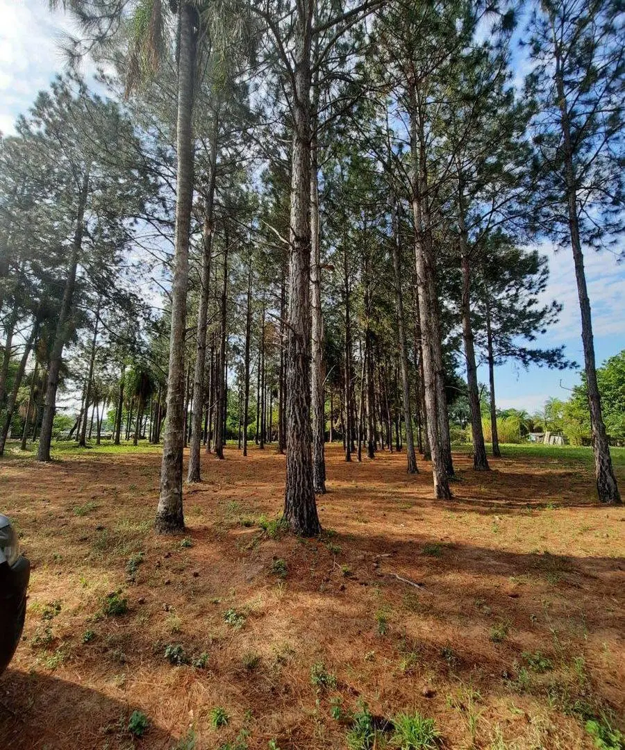 VENTA DE TERRENO EN CORRIENTES 5