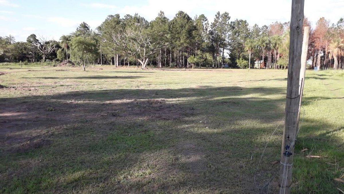 Foto de VENTA DE TERRENO EN CORRIENTES, imagen 2