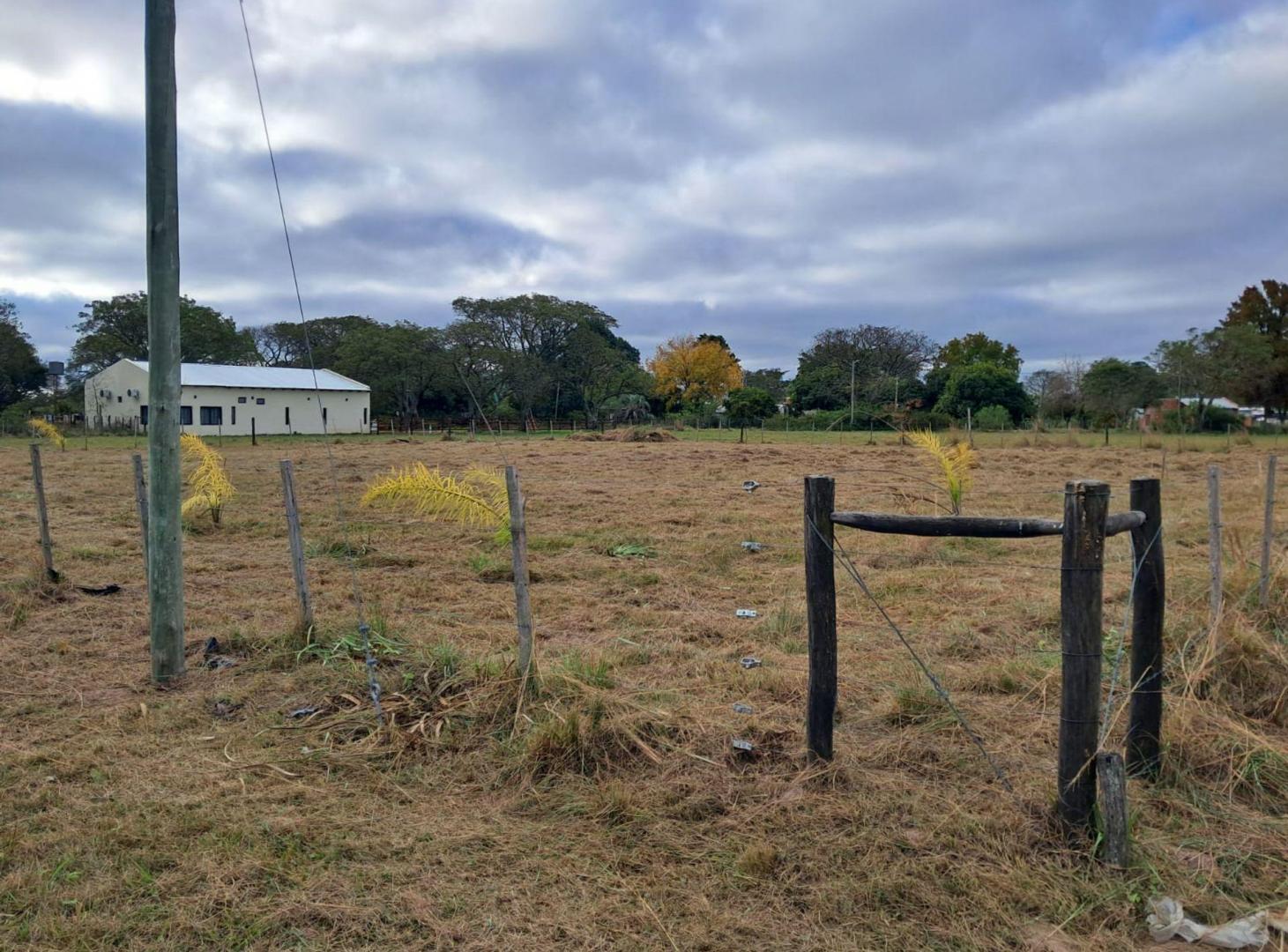 Foto de VENTA DE LOTE EN LA CIUDAD DE ESQUINA, imagen 4