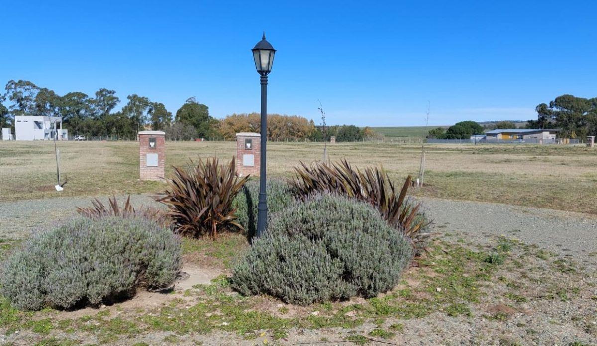 Foto de CLUB DE CAMPO LAS VERBENAS TERRENOS EN VENTA, imagen 3