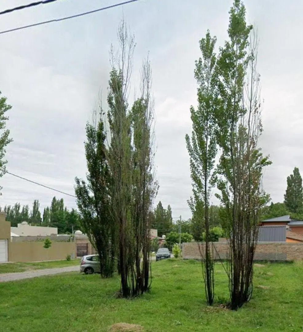 LOTE- BARRIO ECOR I 6
