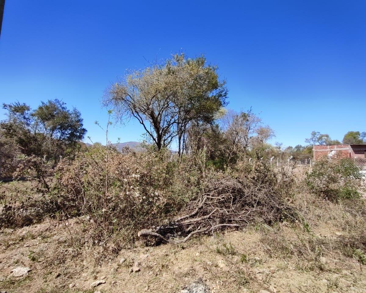 Terreno en El Durazno - La Caldera 5