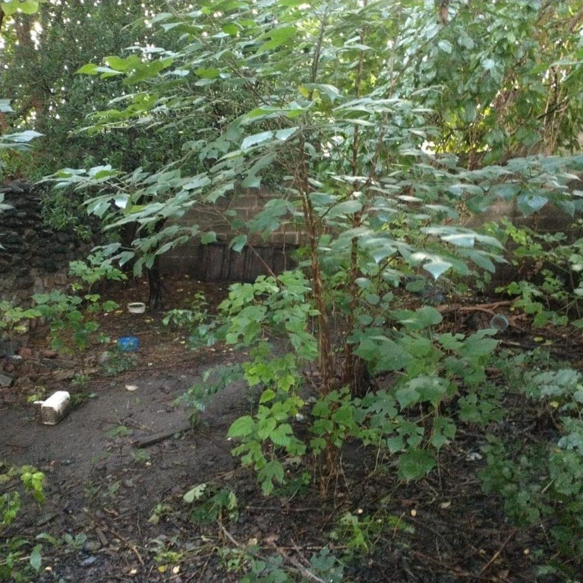 Casa en Metan - Zona Ruta 5