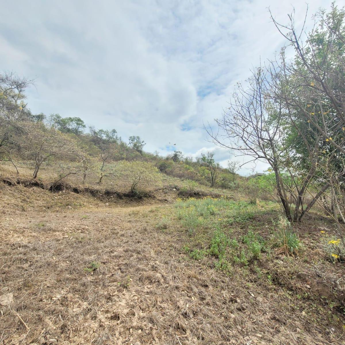 Terreno en Venta Club de Campo Vertientes 2.430 m² 5