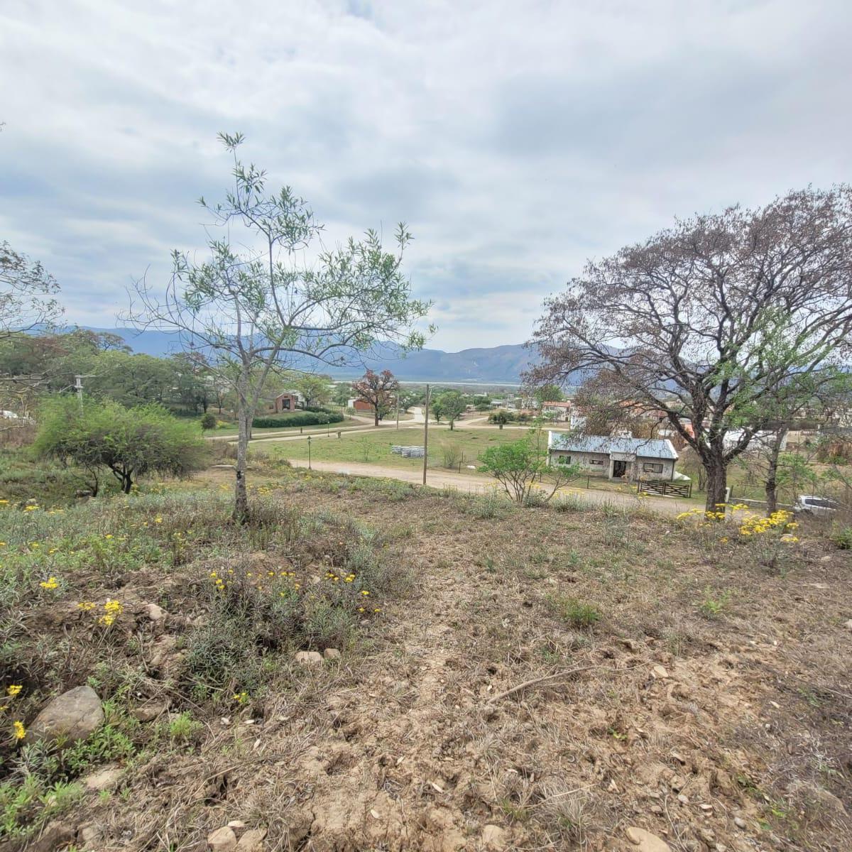 Terreno en Venta Club de Campo Vertientes 2.430 m² 1