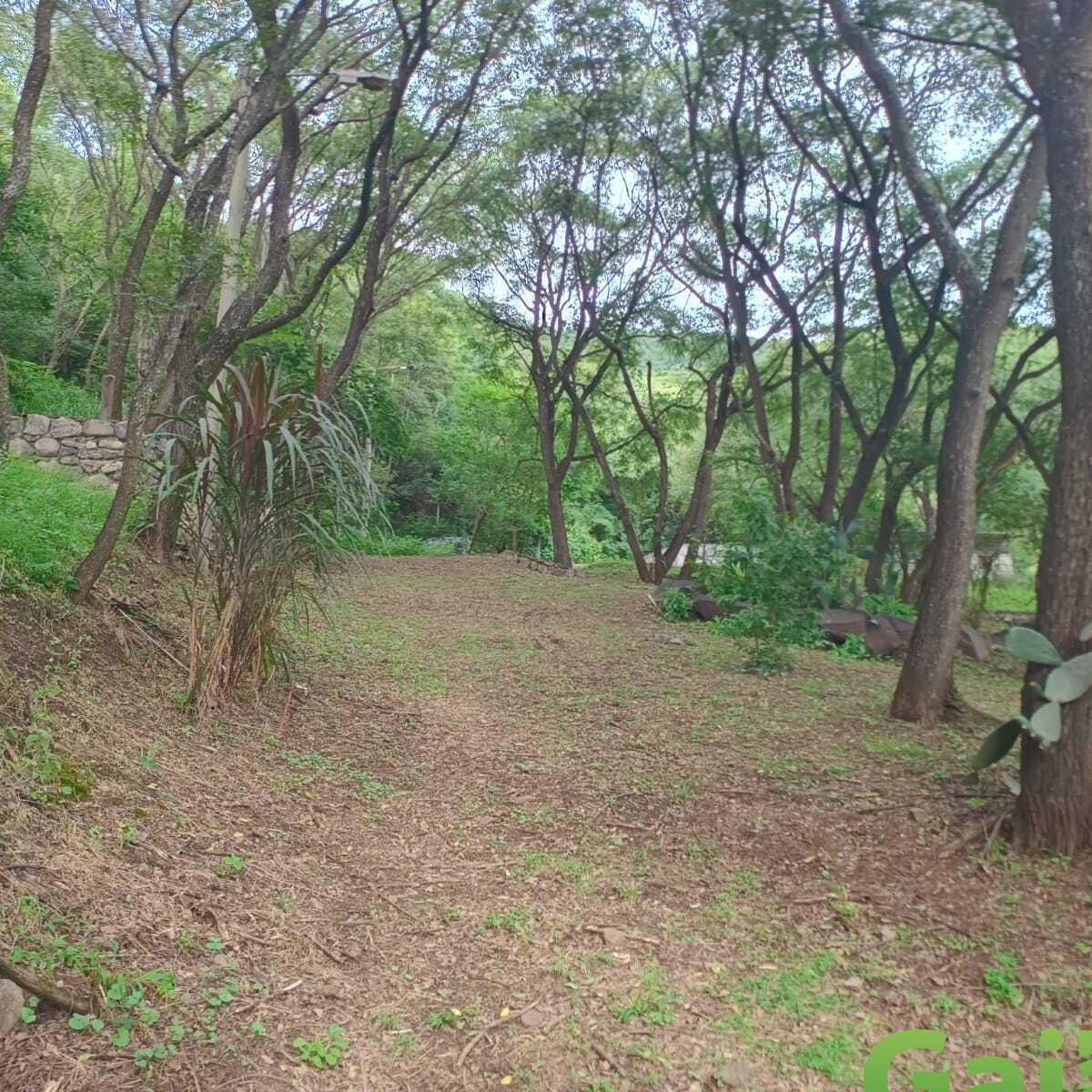 Casa y Parque en Tres Cerritos 1