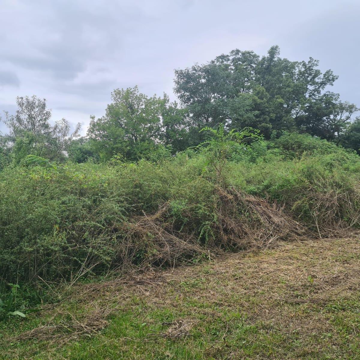 Terreno en Vaqueros en Venta 5.000 m² 1