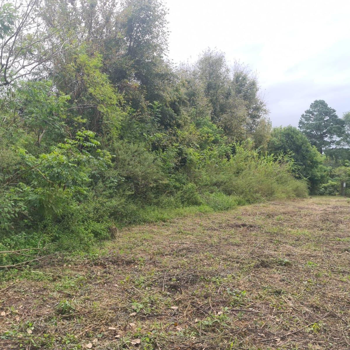 Terreno en Vaqueros en Venta 5.000 m² 5