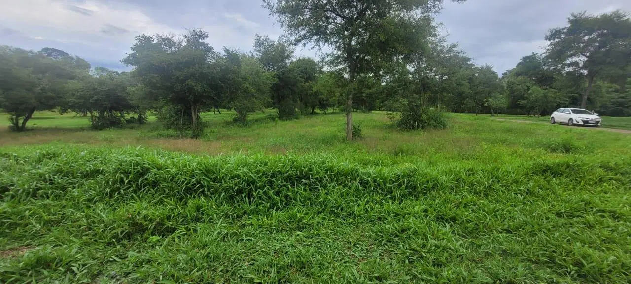 Terreno en venta en Las Cañadas - lote 81 4