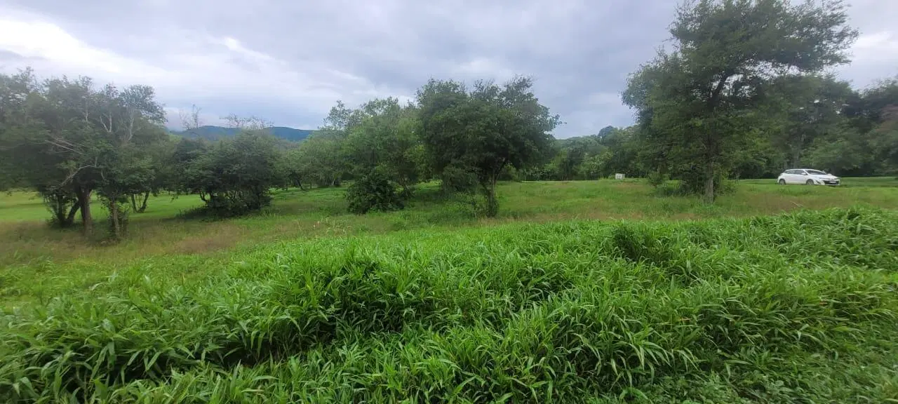 Terreno en venta en Las Cañadas - lote 81 5