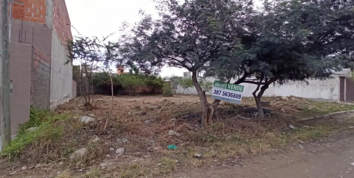 PORTAL DE LESSER ZONA NORTE 4
