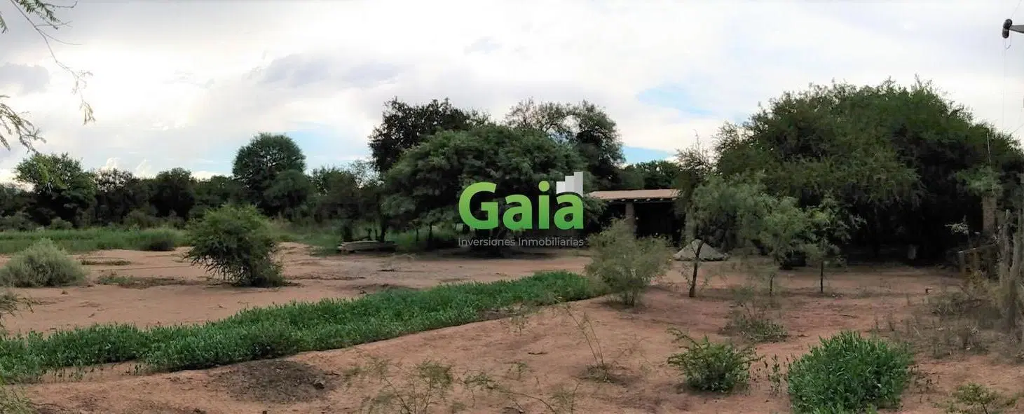 VENTA AMPLIO TERRENO CON CASA DE ADOBE NUEVA EN SAN CARLOS 8