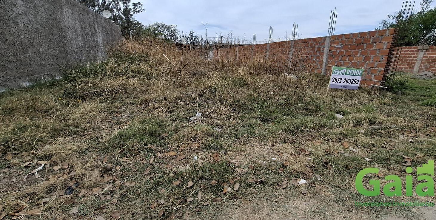 Foto de VENTA | TERRENO LA JORGELINA, imagen 4
