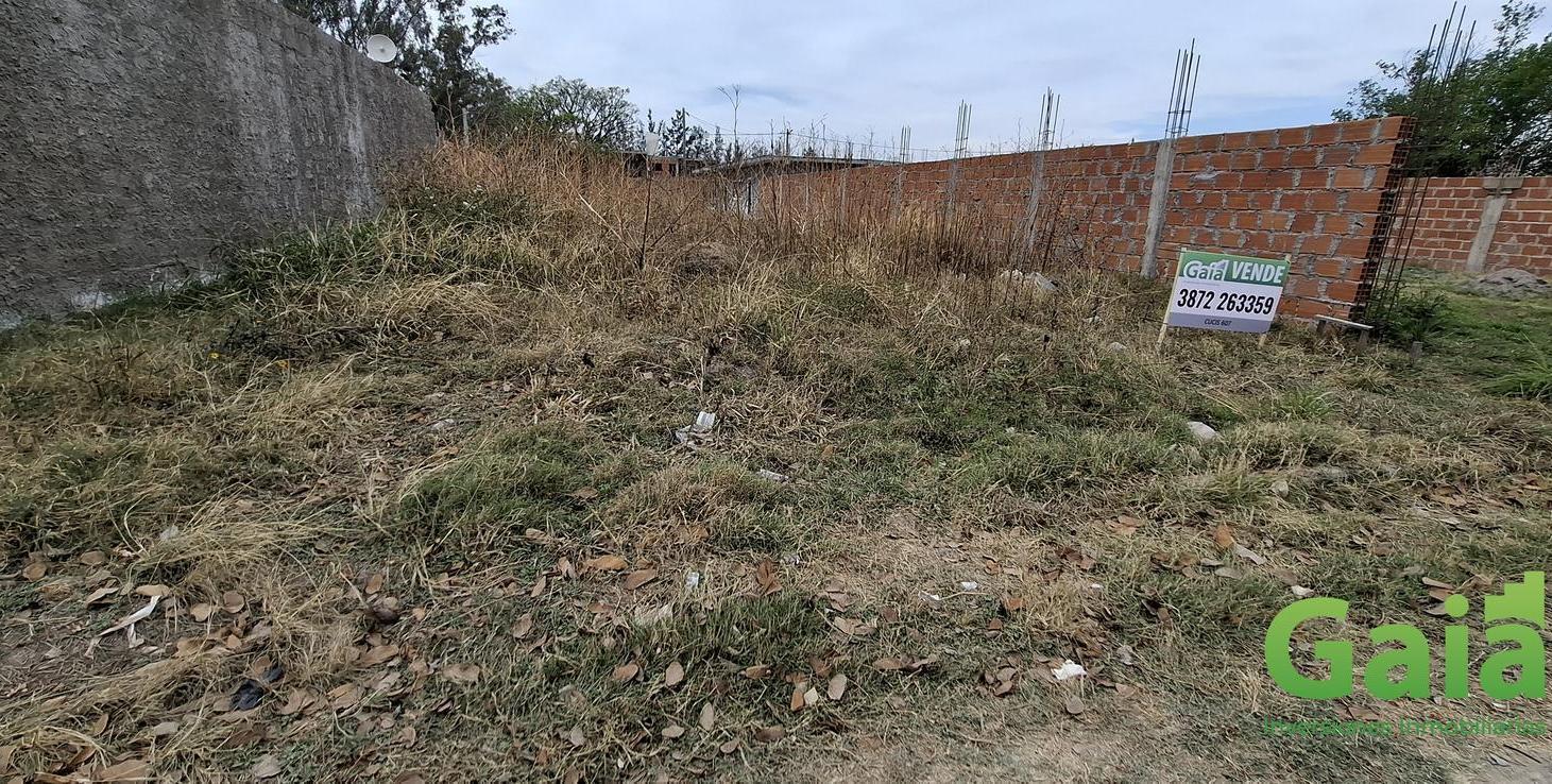 Foto de VENTA | TERRENO LA JORGELINA, imagen 3