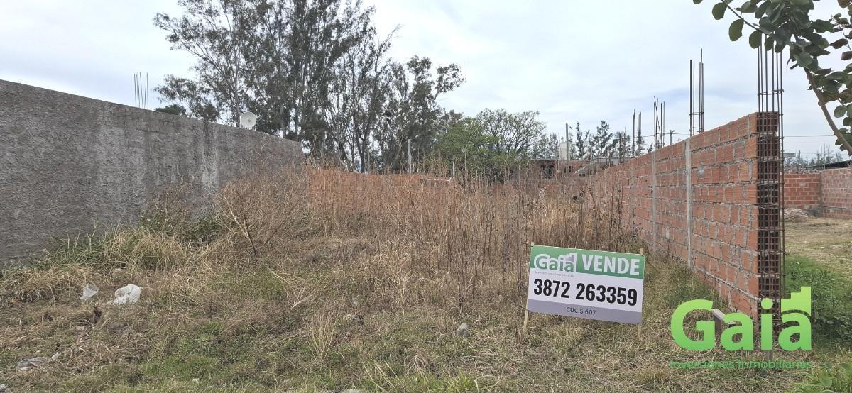 Foto de VENTA | TERRENO LA JORGELINA, imagen 5