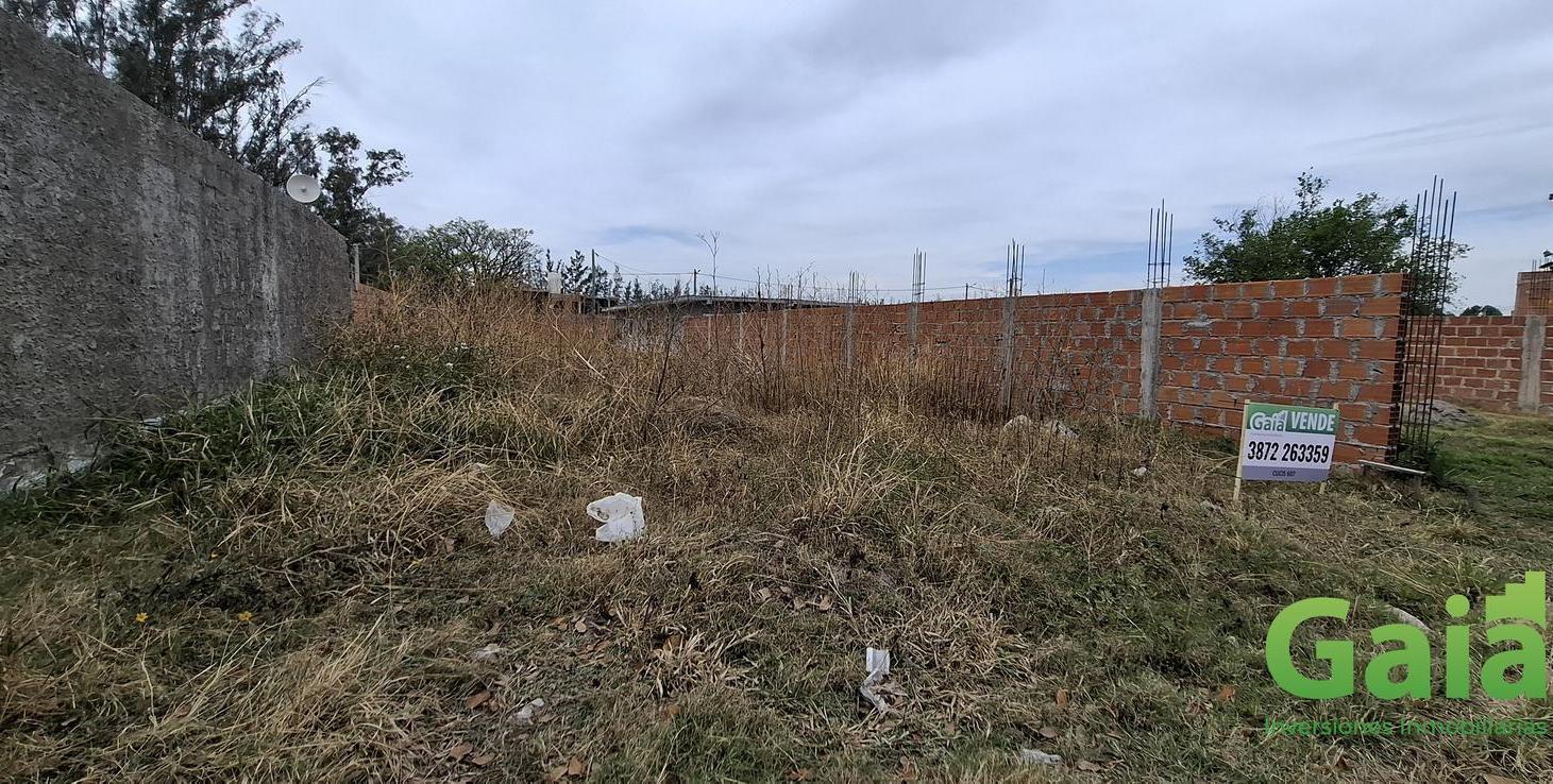 Foto de VENTA | TERRENO LA JORGELINA, imagen 1