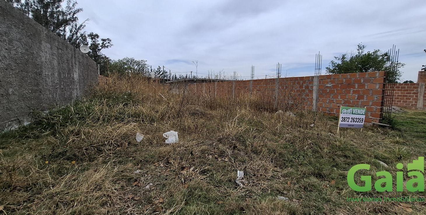 Foto de VENTA | TERRENO LA JORGELINA, imagen 2
