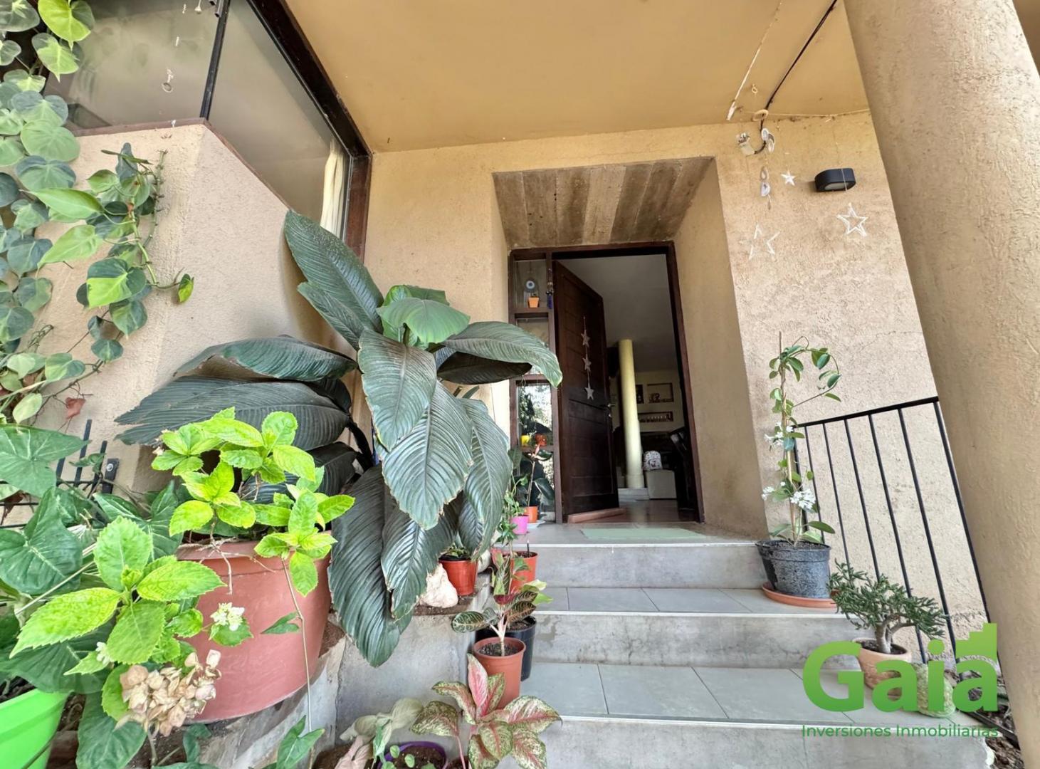 Foto de CASA Y PARQUE EN TRES CERRITOS, imagen 3