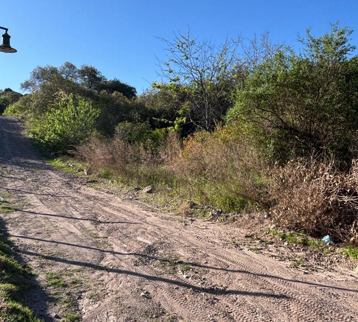 Foto de Terreno en Sierra Nueva, imagen 5