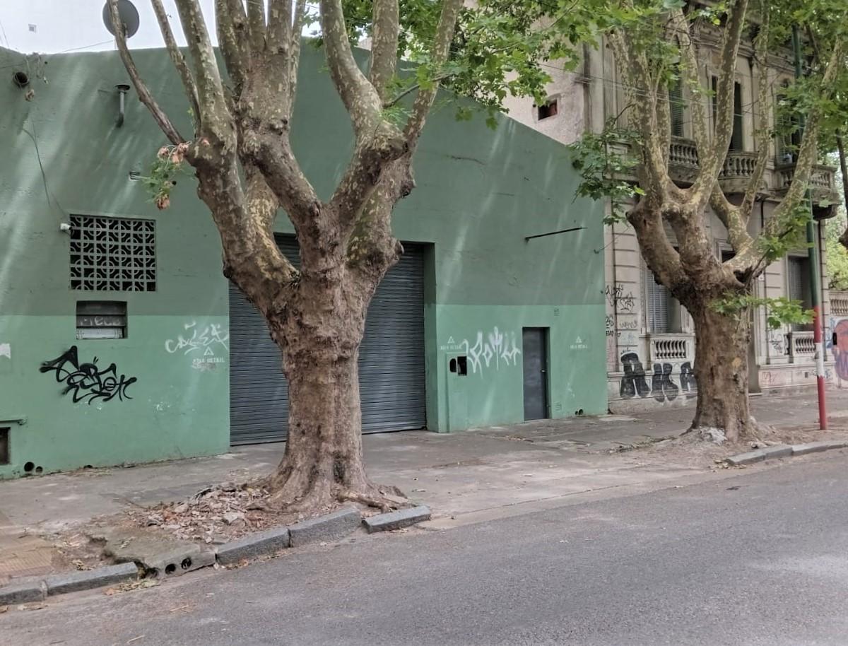 Galpón en Venta en La Plata 4