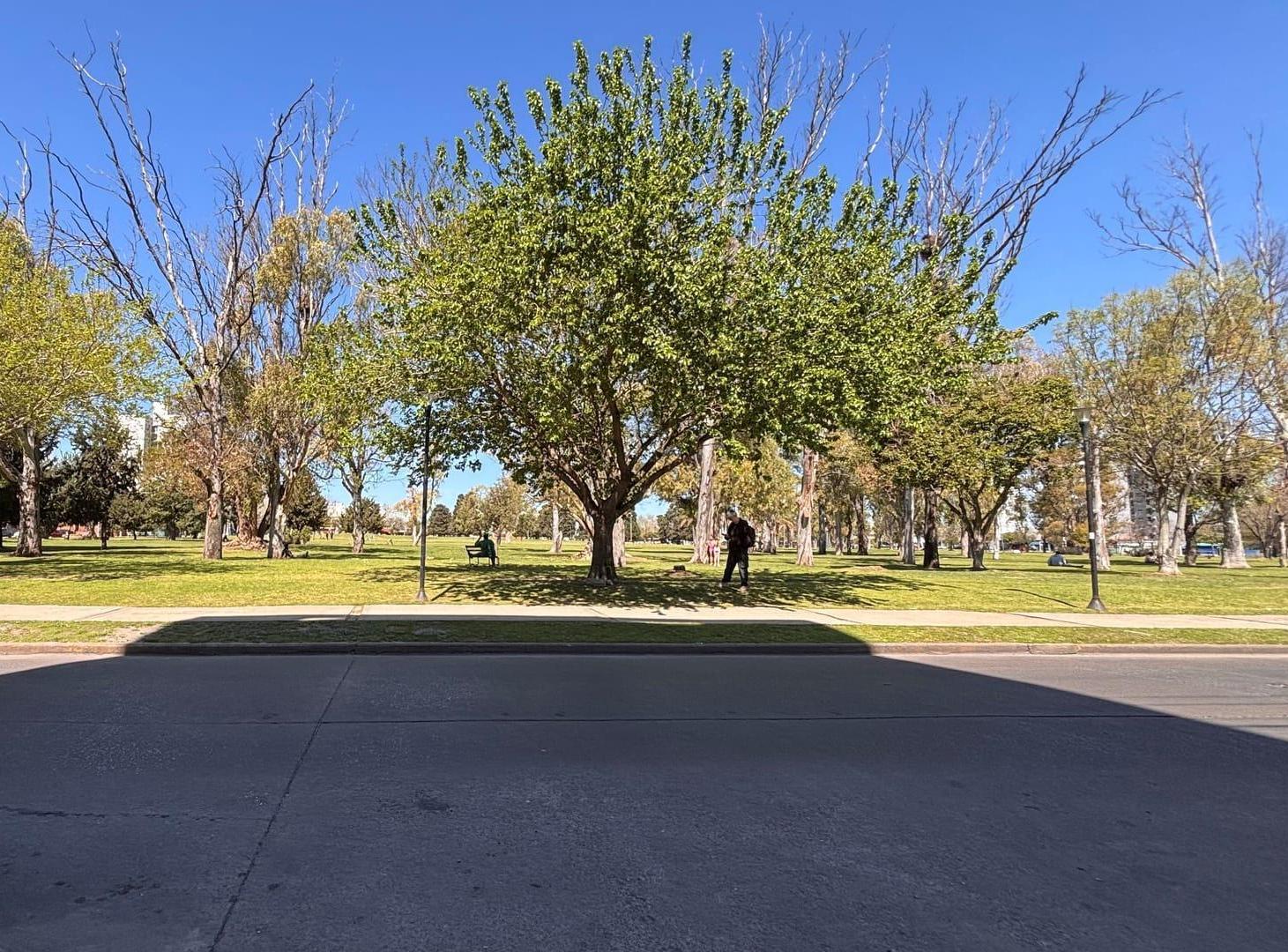 Foto de Venta de departamento de 2 dormitorios, con pileta y cochera. La Plata, imagen 5